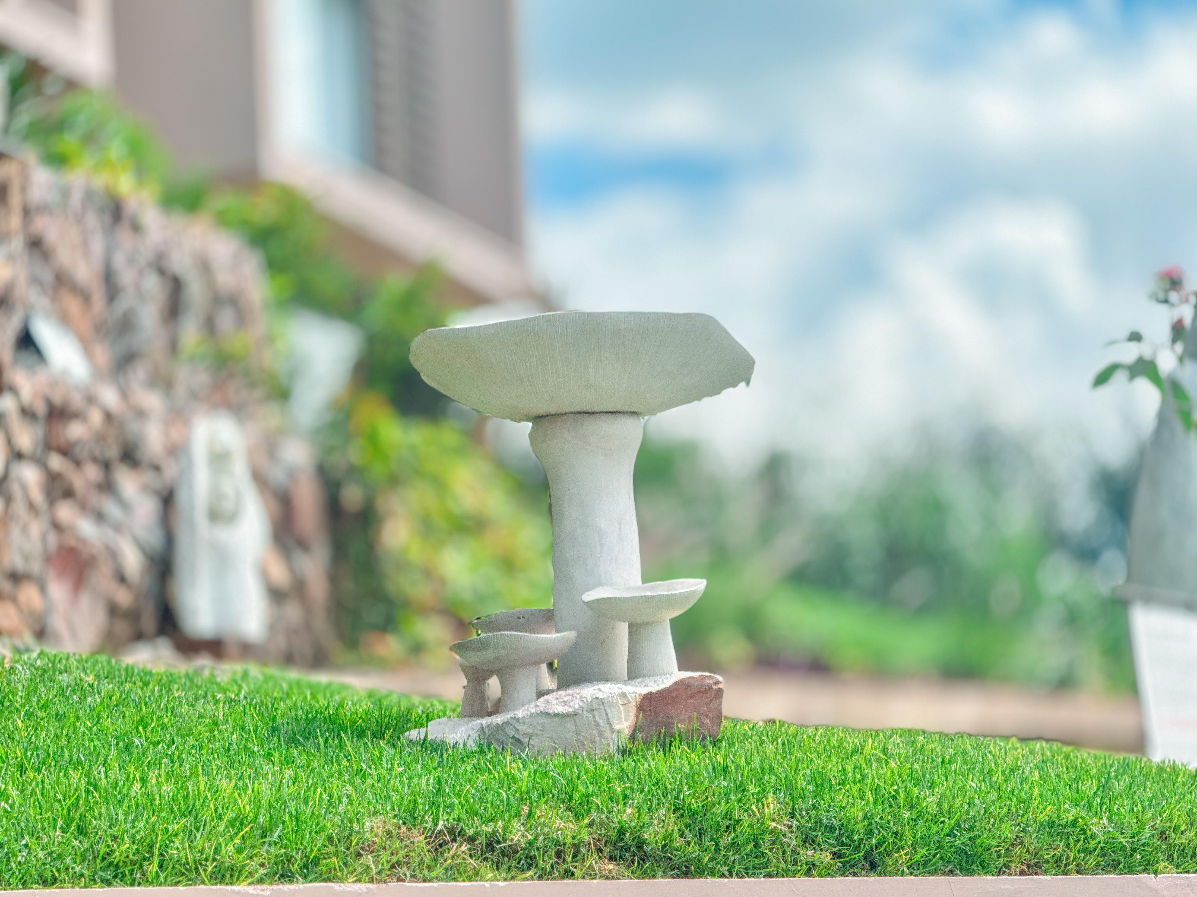 Landscaped Gardens